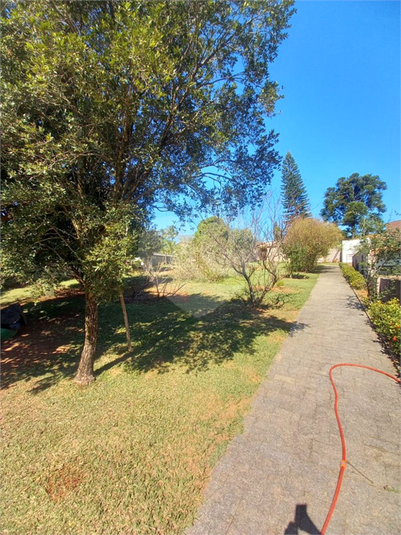 Foto REO1106514