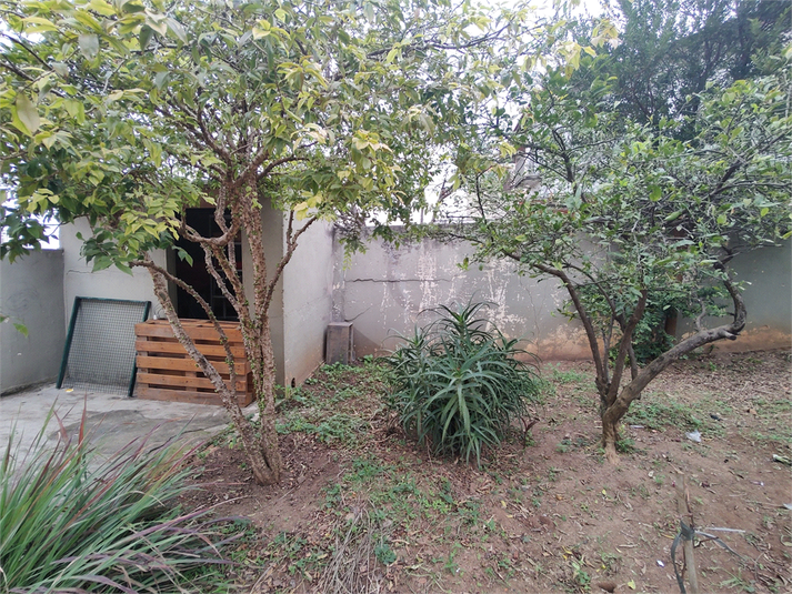 Foto REO1106518