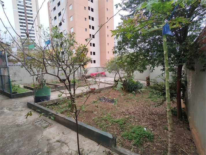 Foto REO1106518