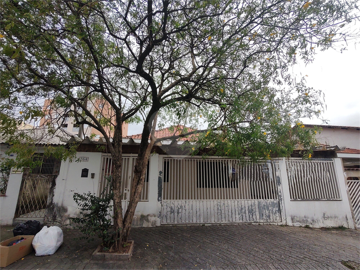 Foto REO1106518