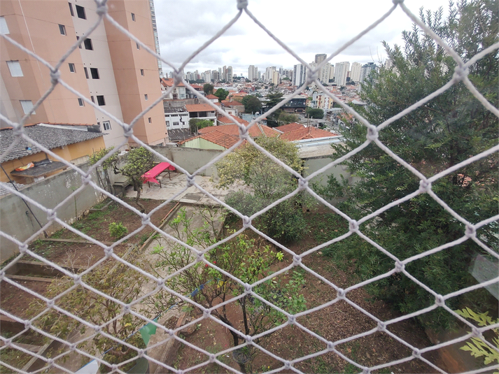 Foto REO1106518