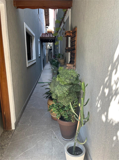 Foto REO1106522