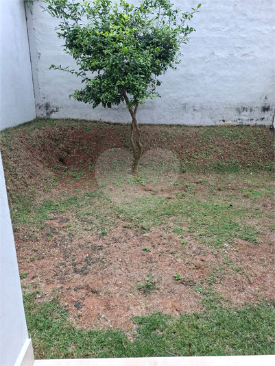 Foto REO1106539