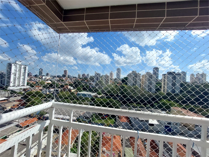 Foto REO1106555