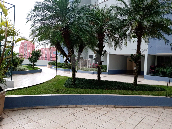 Foto REO1106563