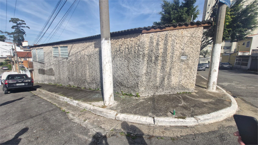 Foto REO1106564