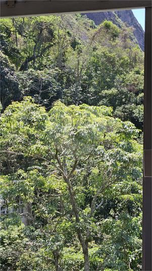 Foto REO1106572