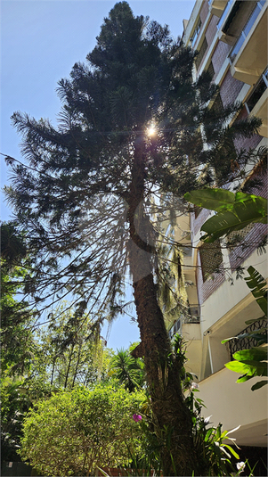 Foto REO1106572