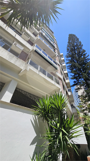Foto REO1106572
