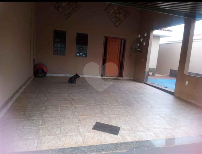 Foto REO1106583