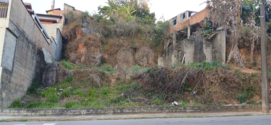 Foto REO1106584