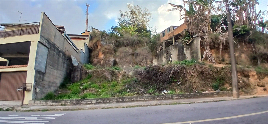 Foto REO1106584