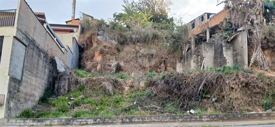 Foto REO1106584