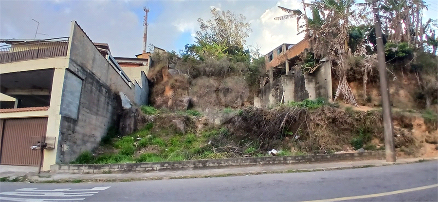 Foto REO1106584