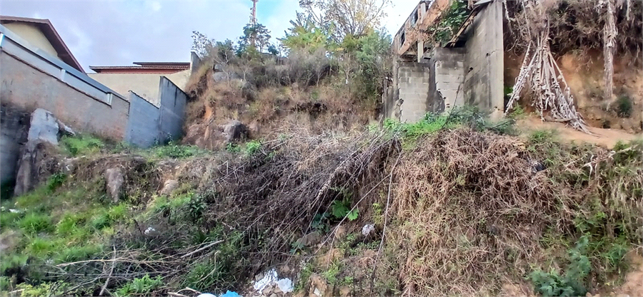 Foto REO1106584