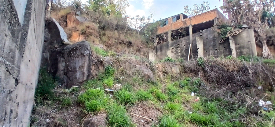 Foto REO1106584