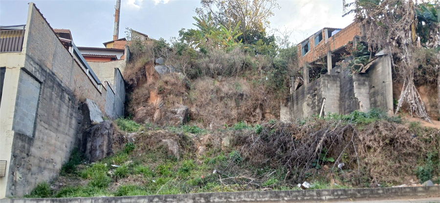 Foto REO1106584