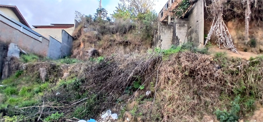 Foto REO1106584