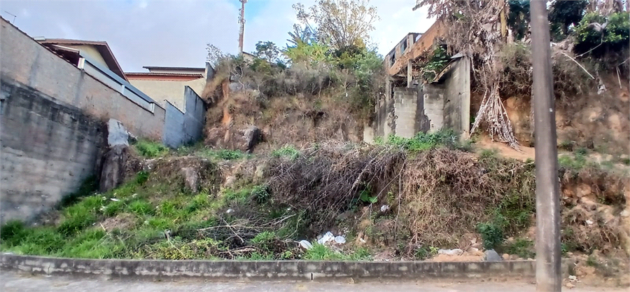Foto REO1106584