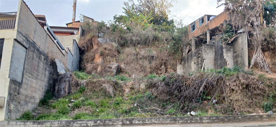 Foto REO1106584