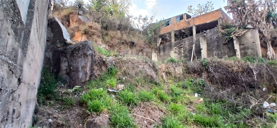Foto REO1106584