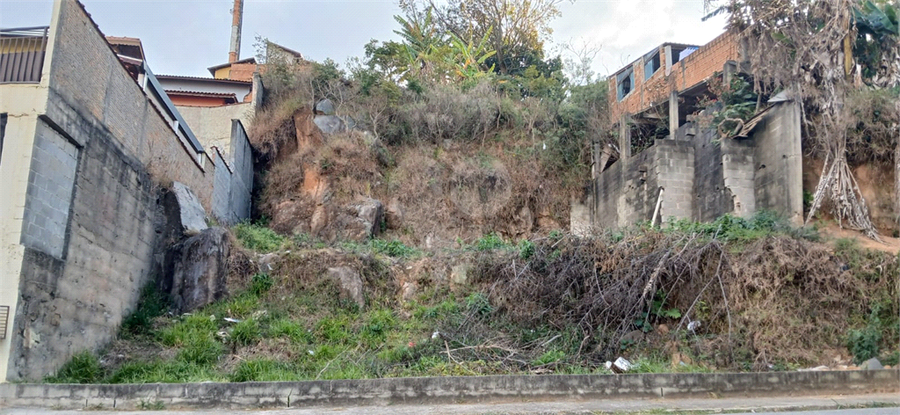 Foto REO1106584