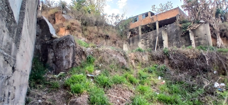 Foto REO1106584