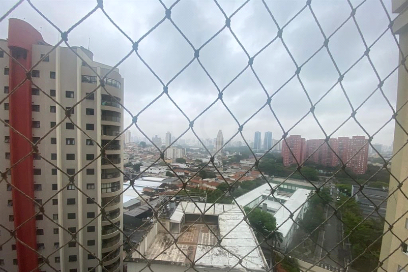 Foto REO1106586