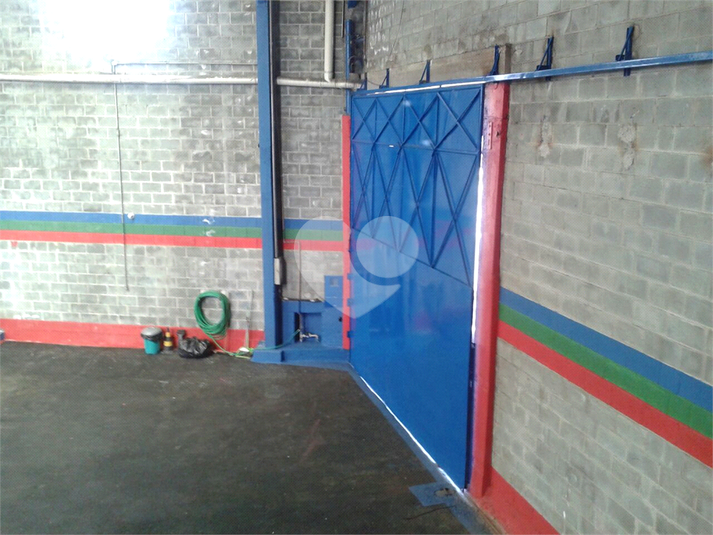 Foto REO1106612