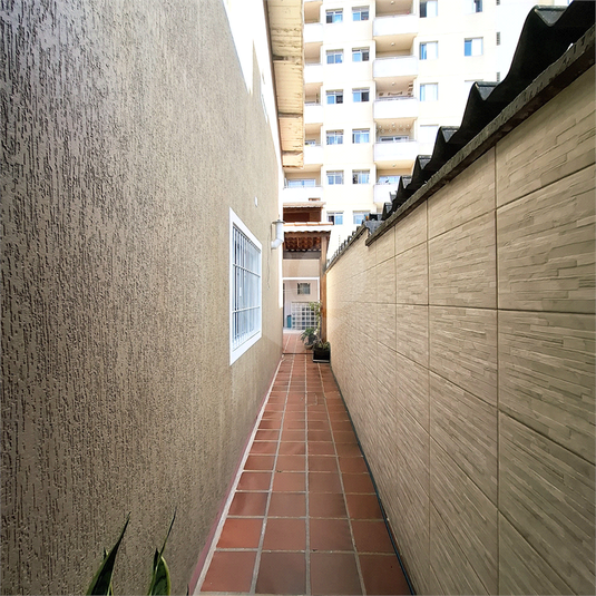 Foto REO1106616