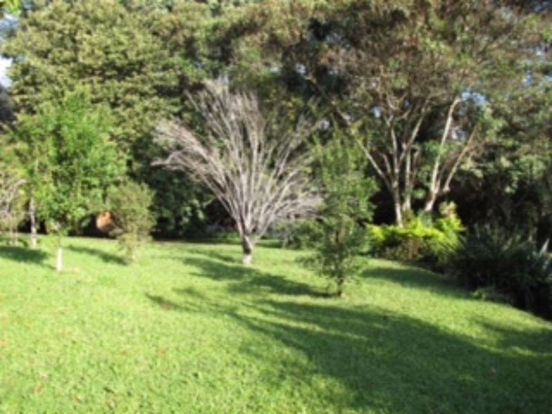 Venda Casa Cotia Vila Santo Antônio REO110664 3