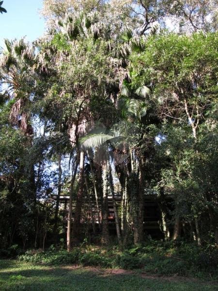 Venda Casa Cotia Vila Santo Antônio REO110664 9