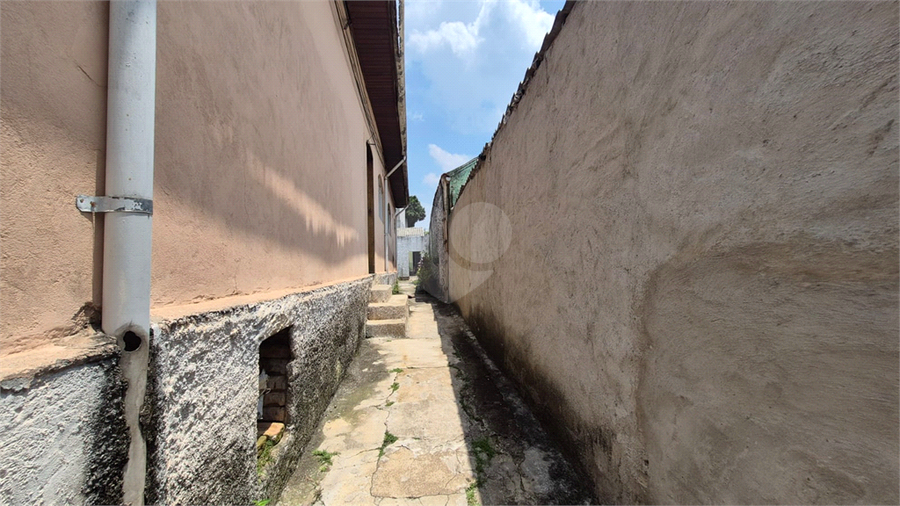 Foto REO1106640