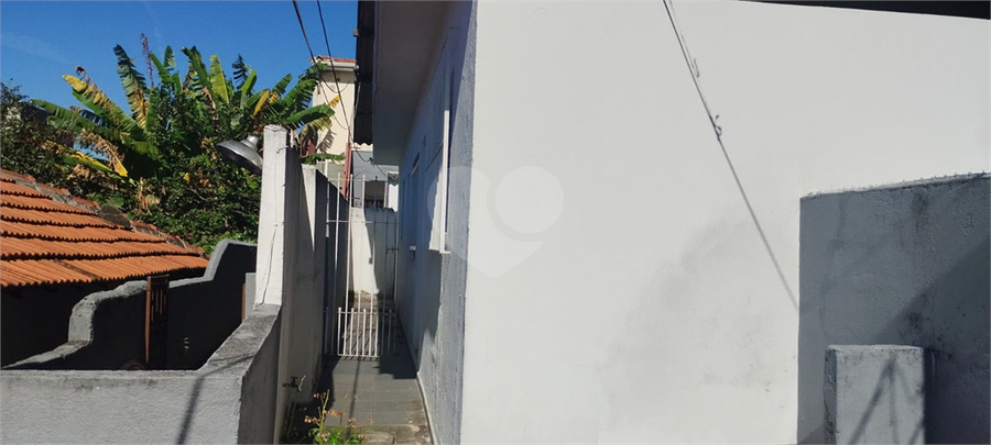Foto REO1106641