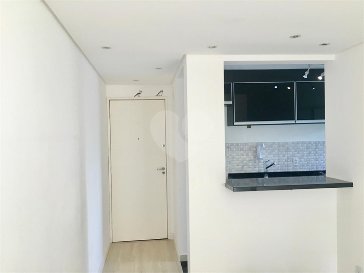 Foto REO1106642