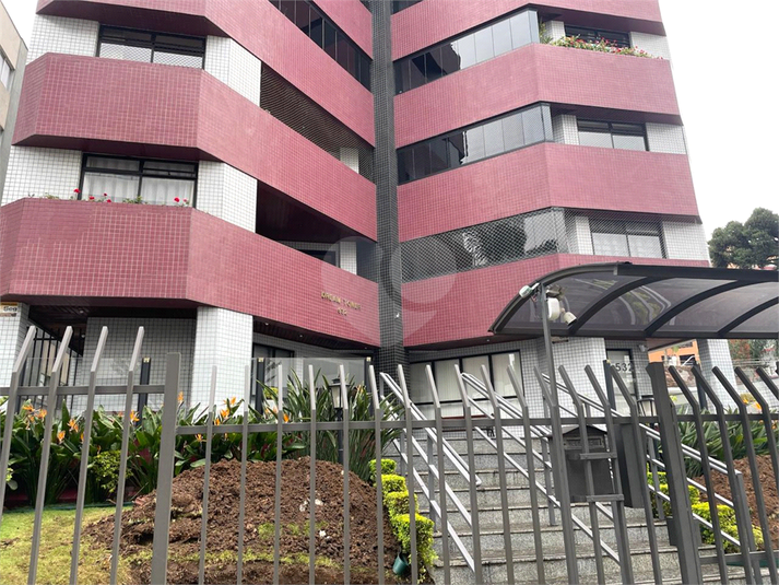 Foto REO1106643