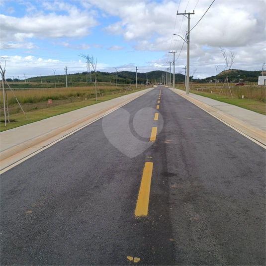 Foto REO1106649