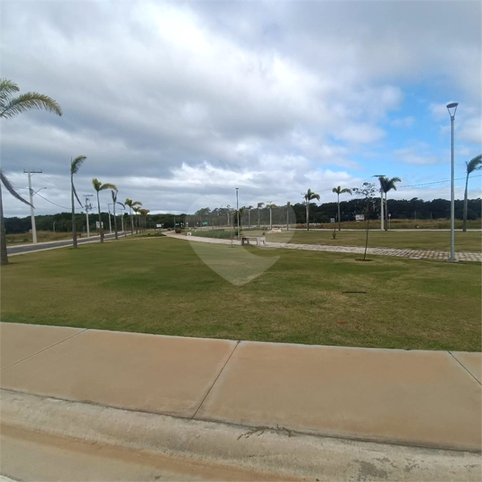 Foto REO1106649