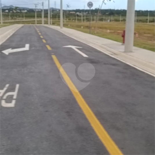 Foto REO1106649