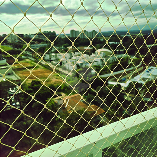 Foto REO1106652
