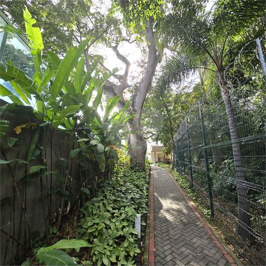 Foto REO1106652