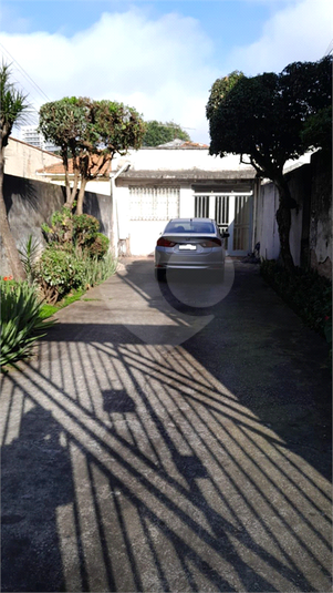 Foto REO1106664