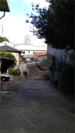 Foto REO1106664