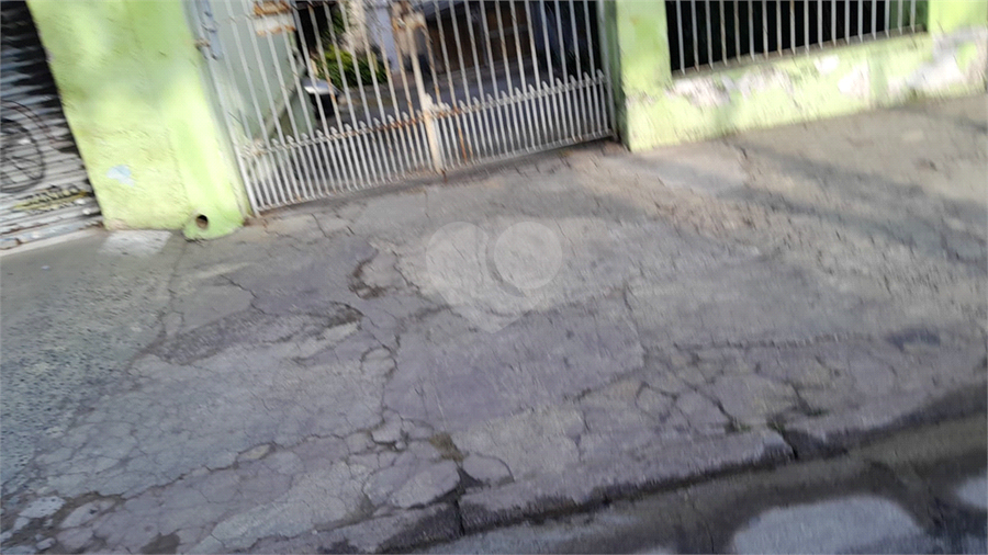 Foto REO1106664