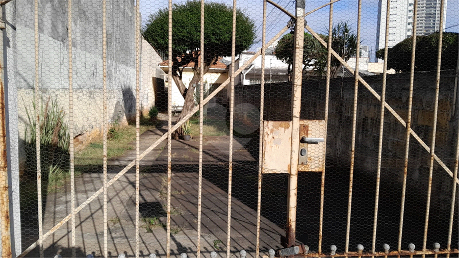 Foto REO1106672
