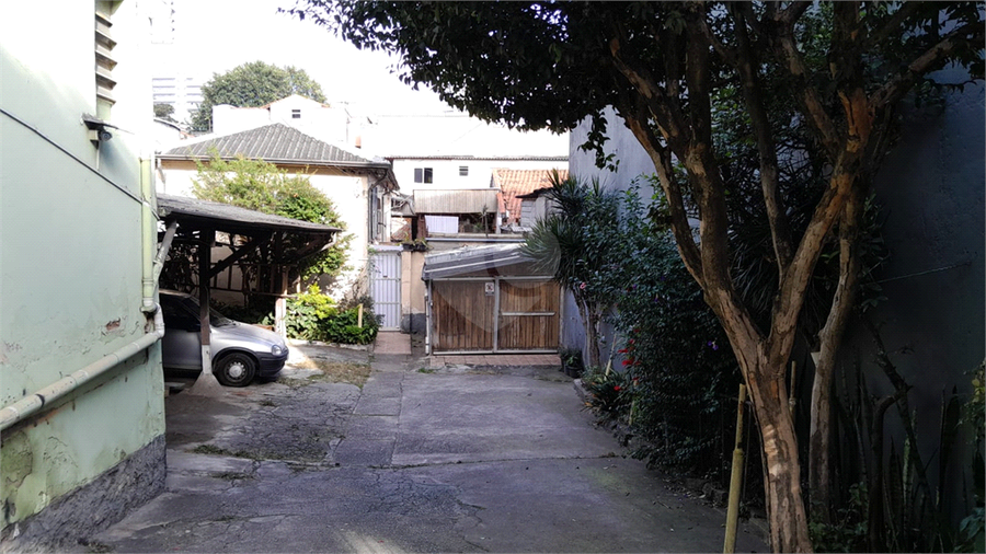 Foto REO1106675