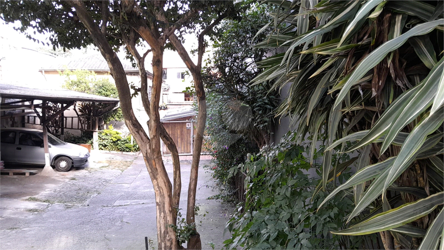 Foto REO1106675