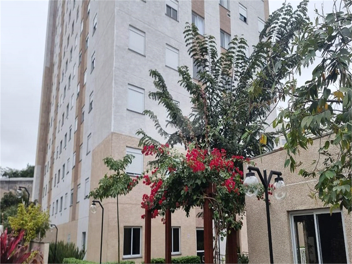 Foto REO1106678