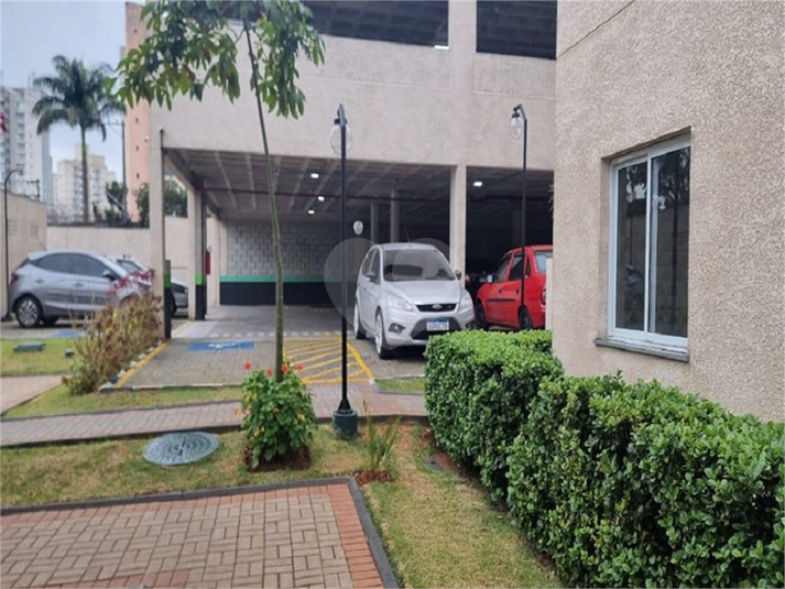 Foto REO1106678