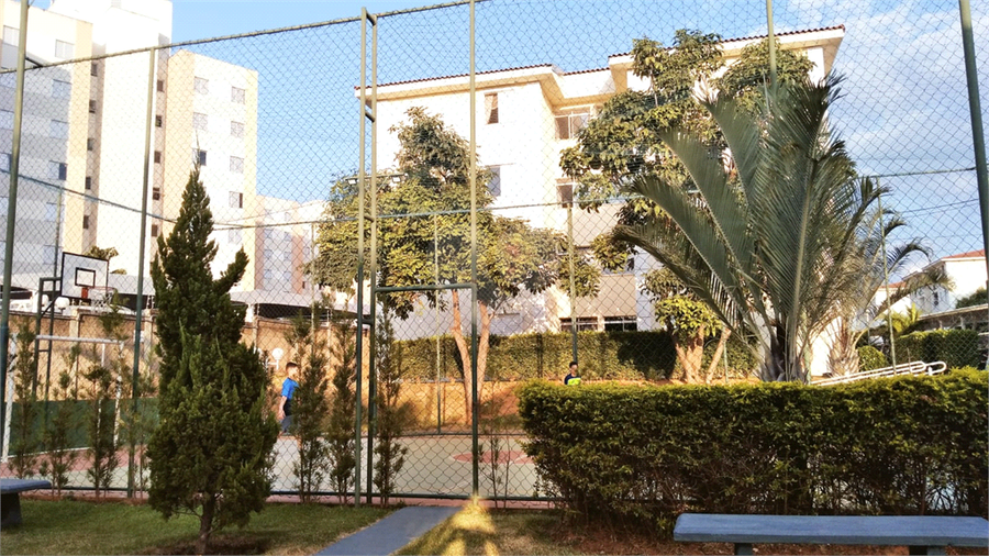 Foto REO1106683